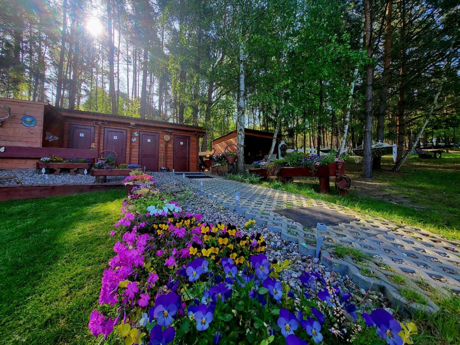 Glamping Pod Orlem Hotell Cedynia Exteriör bild